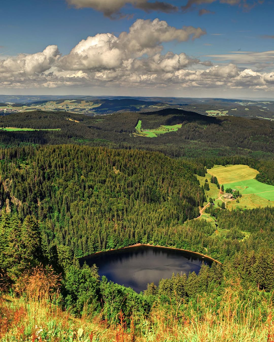 The Black Forest (Schwarzwald), Germany