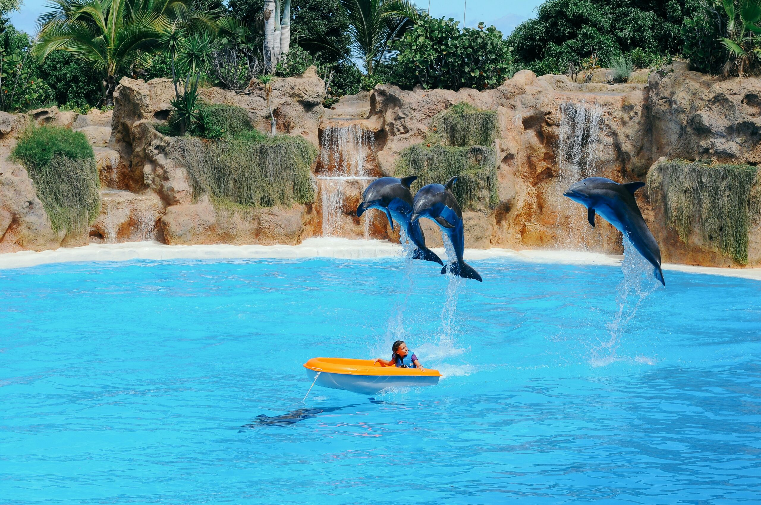 loro parque, tenerife